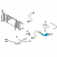 OEM Scion Thermostat Housing Diagram - 16321-28010