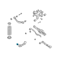 OEM 2019 Kia Cadenza Bush-Rear Trailing Arm Diagram - 55274F6000