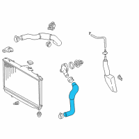 OEM 2000 Toyota Corolla Lower Hose Diagram - 16572-0D050