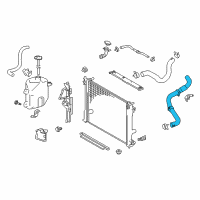 OEM Toyota Avalon Lower Hose Diagram - 16571-F0010