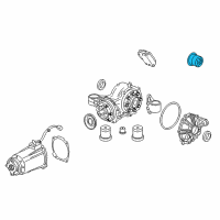 OEM 2011 GMC Terrain Differential Assembly Rear Bushing Diagram - 20914916