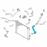 OEM 2020 Lexus ES300h Hose, Radiator, NO.3 Diagram - 16573-F0070