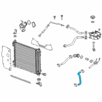 OEM 2010 Cadillac SRX Lower Hose Diagram - 19257724