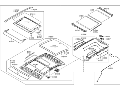 Hyundai 81600-B1100-SG2 Panorama Roof Assembly