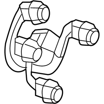 GM 22862120 Socket & Wire