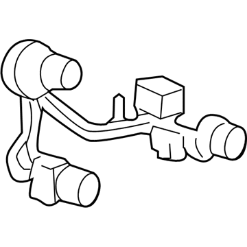 GM 25921613 Socket & Wire