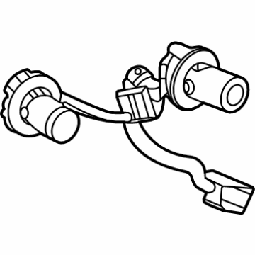 GM 42713219 Socket & Wire