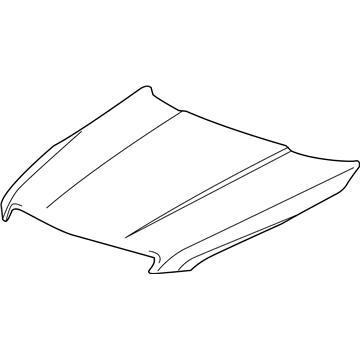 GM 84076714 Hood Asm