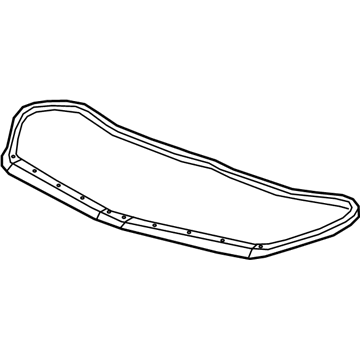 GM 84751933 Front Weatherstrip