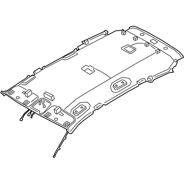 Hyundai 85310-S2000-UUE Headlining Assembly