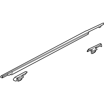 Ford AE9Z-7421453-B Belt Molding