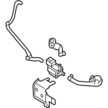 Kia 394002B050 SOLVALVE & Hose