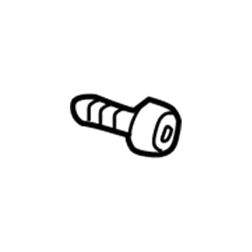 GM 11513849 Handle Bezel Screw