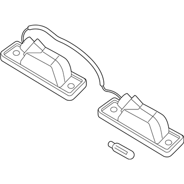 GM 95387158 License Lamp