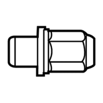 GM 88972745 Wheel Nut