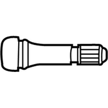 GM 88971024 Stem, Tire Valve