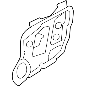 Hyundai 82481-0W000 Front Right-Hand Door Module Panel Assembly