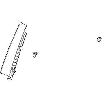 Ford LJ6Z-7825557-AB MOULDING - DOOR OUTSIDE