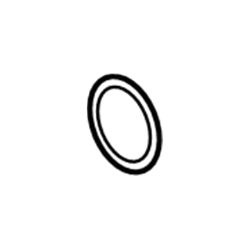 GM 55187584 Catalytic Converter Seal