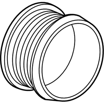 GM 55579927 Pulley Asm-Generator