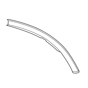 GM 21996294 Drip Molding