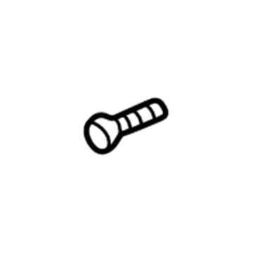 GM 11589019 Lower Striker Screw