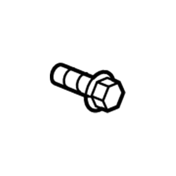 GM 11609569 Pad Screw