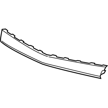 GM 84383258 Lower Molding