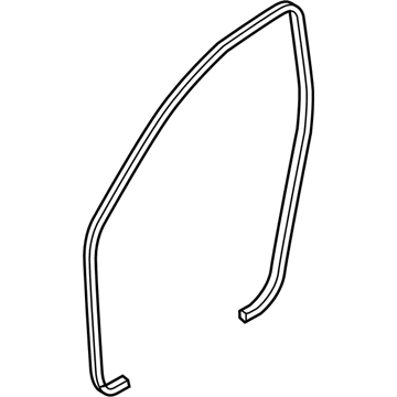 GM 96541728 Weatherstrip, Front Side Door