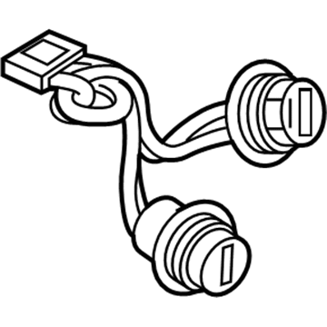 GM 39042850 Socket & Wire