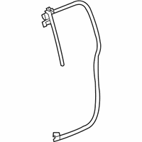 OEM Chevrolet Colorado Weatherstrip Asm-Rear Side Door - 15290820