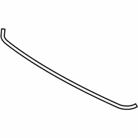 OEM 2010 Hyundai Accent Weatherstrip-Hood - 86431-1E000