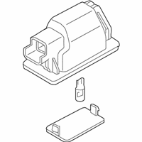 OEM 2017 Chevrolet City Express License Lamp - 19316433