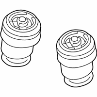 OEM 2010 BMW X5 Rear Pneumatic Spring - 37-12-6-790-079