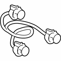 OEM Chevrolet Socket & Wire - 22862122