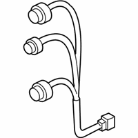 OEM 2010 Honda Ridgeline Socket - 33502-SJC-A01