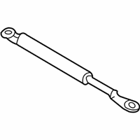 OEM 2000 Chevrolet Tracker STRUT, End Gate Support - 30023702