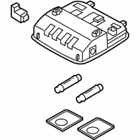 OEM 2022 Hyundai Ioniq Overhead Console Lamp Assembly - 92800-F2060-TTX