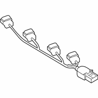 OEM Kia Coil & Ext Wire - 273002B010