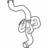 OEM 2017 Ford Transit-350 Lower Hose - CK4Z-8286-E