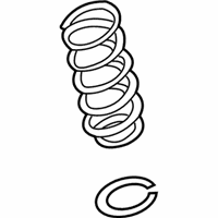 OEM 2000 Nissan Maxima Spring-Rear Suspension - 55020-3Y004