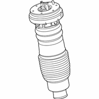 OEM 2020 Lincoln Aviator Air Spring - LC5Z-3C199-G