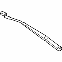 OEM Buick Wiper Arm - 13317342