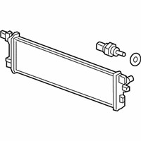 OEM Chevrolet Spark EV Auxiliary Radiator - 22960944
