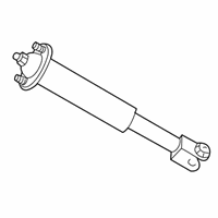 OEM 2011 Cadillac CTS Shock - 25884697