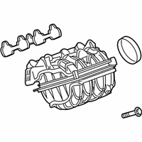 OEM Chevrolet Spark Intake Manifold - 12672109