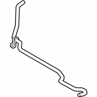 OEM 2021 Toyota C-HR Overflow Hose - 16267-0T170