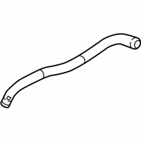 OEM Chevrolet Cruze Hose - 13377130