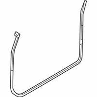 OEM 2019 Nissan Titan WEATHERSTRIP-FRONT DOOR, RH - 80830-9FV0C