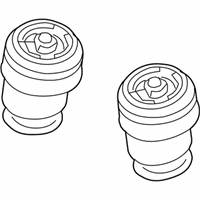 OEM 2017 BMW X6 Rear Pneumatic Spring - 37-12-6-795-013